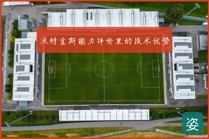 沃特金斯能力评价里的技术优势